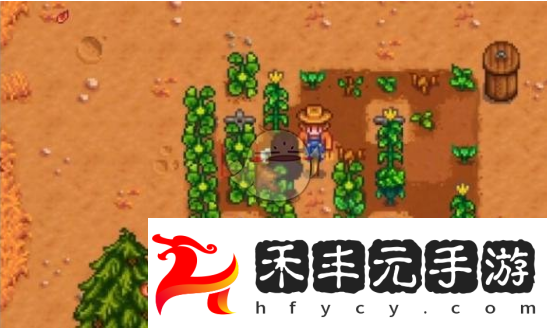 星露谷物語雕刻南瓜任務如何通關